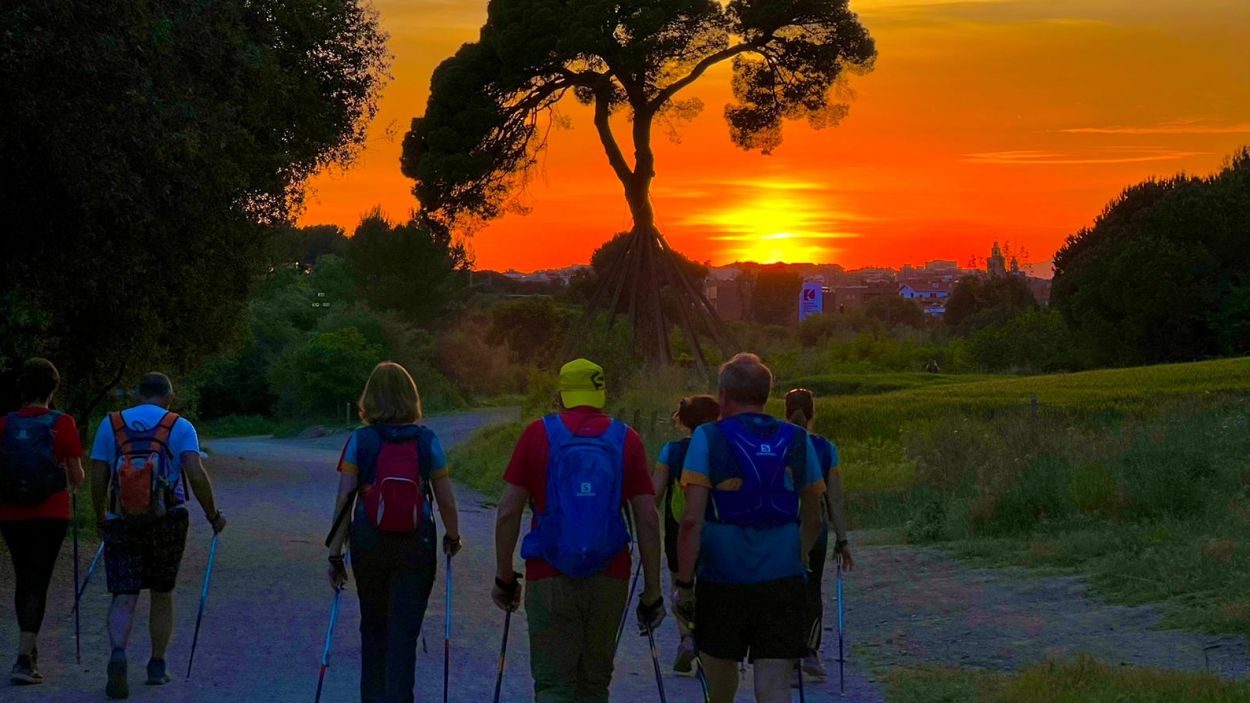 Les Passejades per Collserola celebren el 25è aniversari