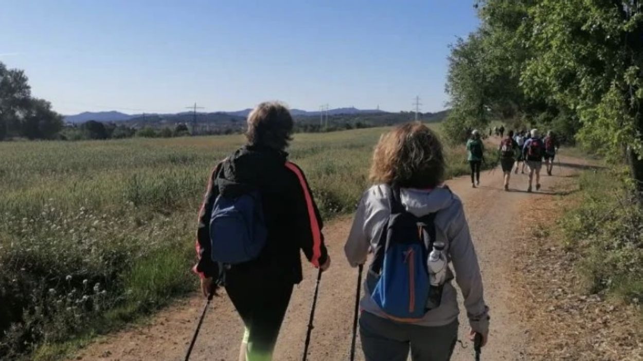 Rècord històric de participants en la 13a edició de La Marxa del Corredor Verd