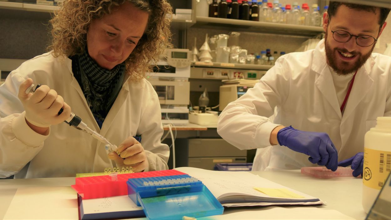 Un estudi planteja si es poden identificar disfuncions neurològiques a partir d'una anàlisi de sang