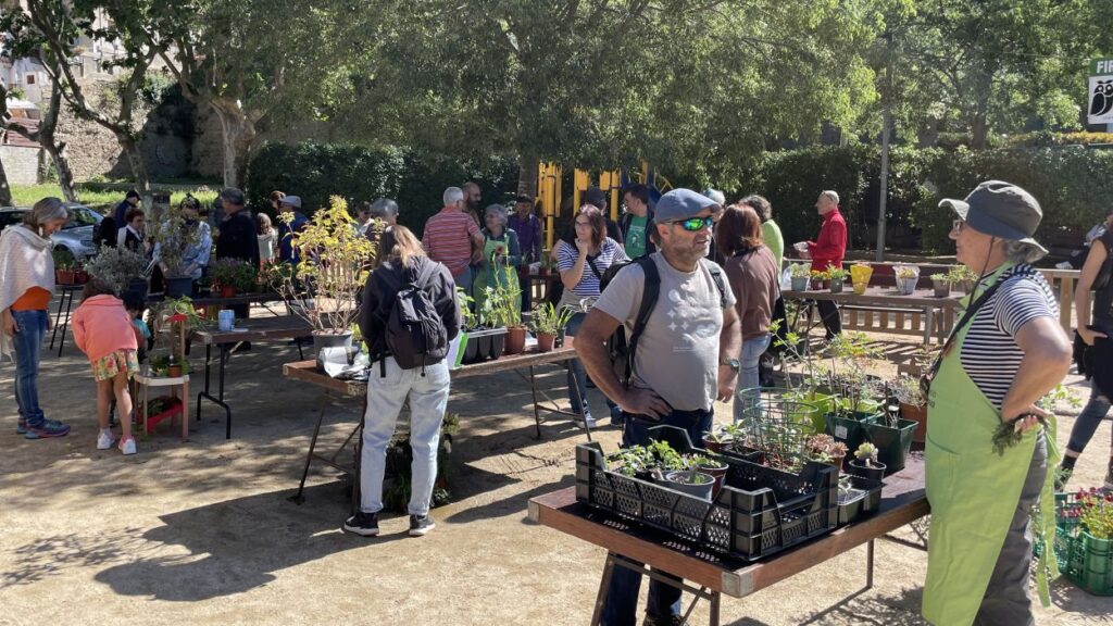 Alt: La 17a Fira d'intercanvi de plantes aposta per la conscienciació amb el medi ambient