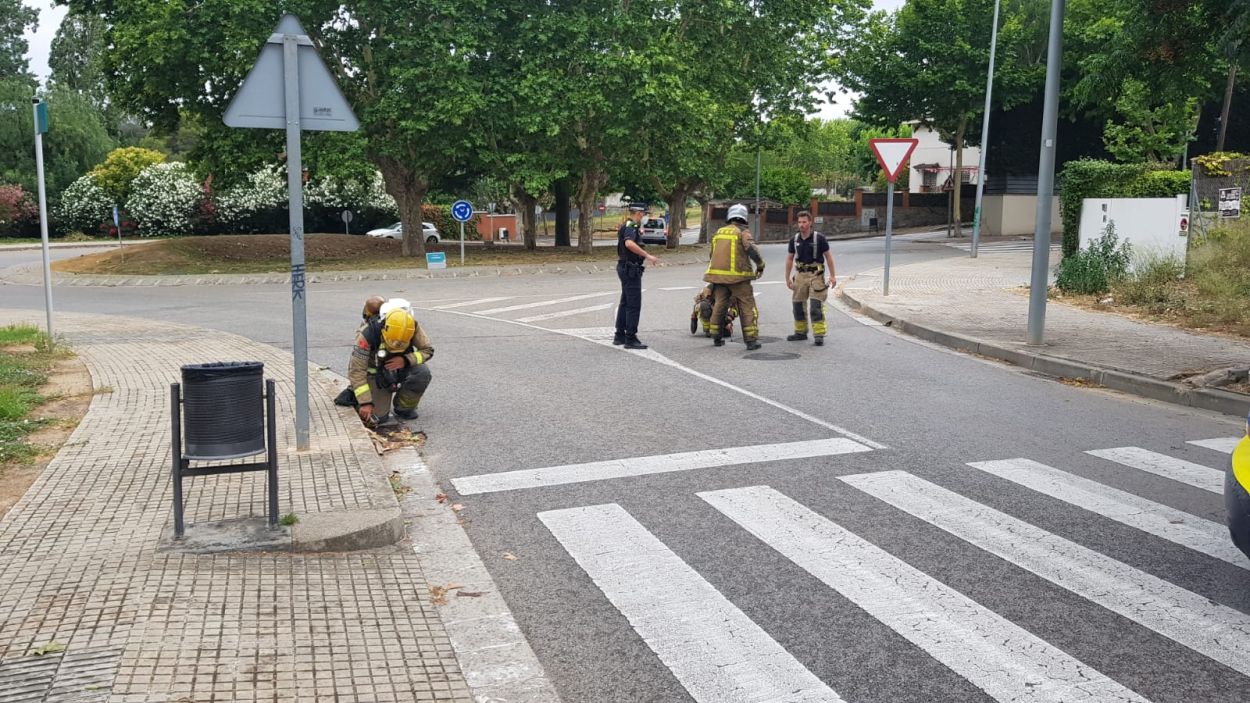 Tornen a detectar una olor química a Mas Gener