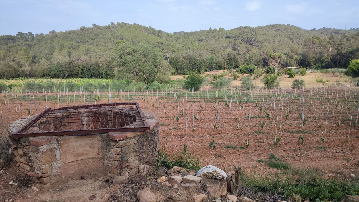 Sant Cugat disposa de més de 200 hectàrees recuperables per a conreus