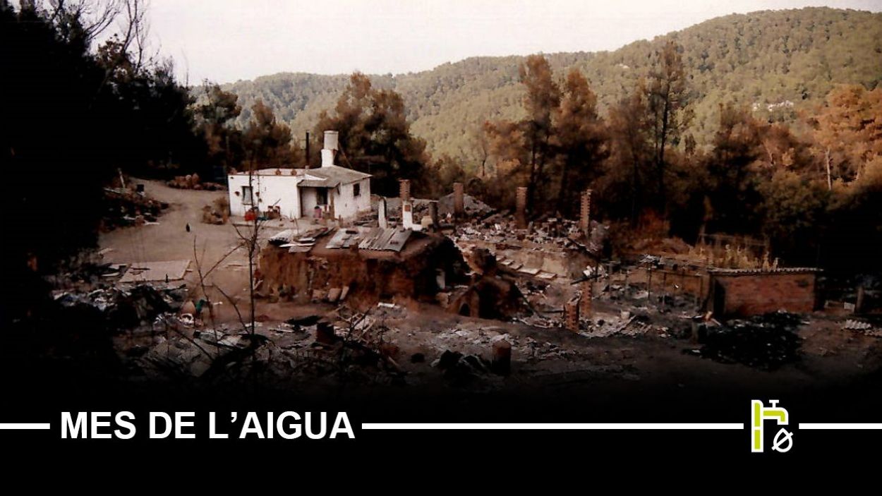 230710-incendi-collserola-1994-a-eduard-jener.jpg