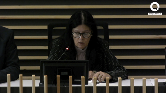 Ple extraordinari Síndica de Greuges