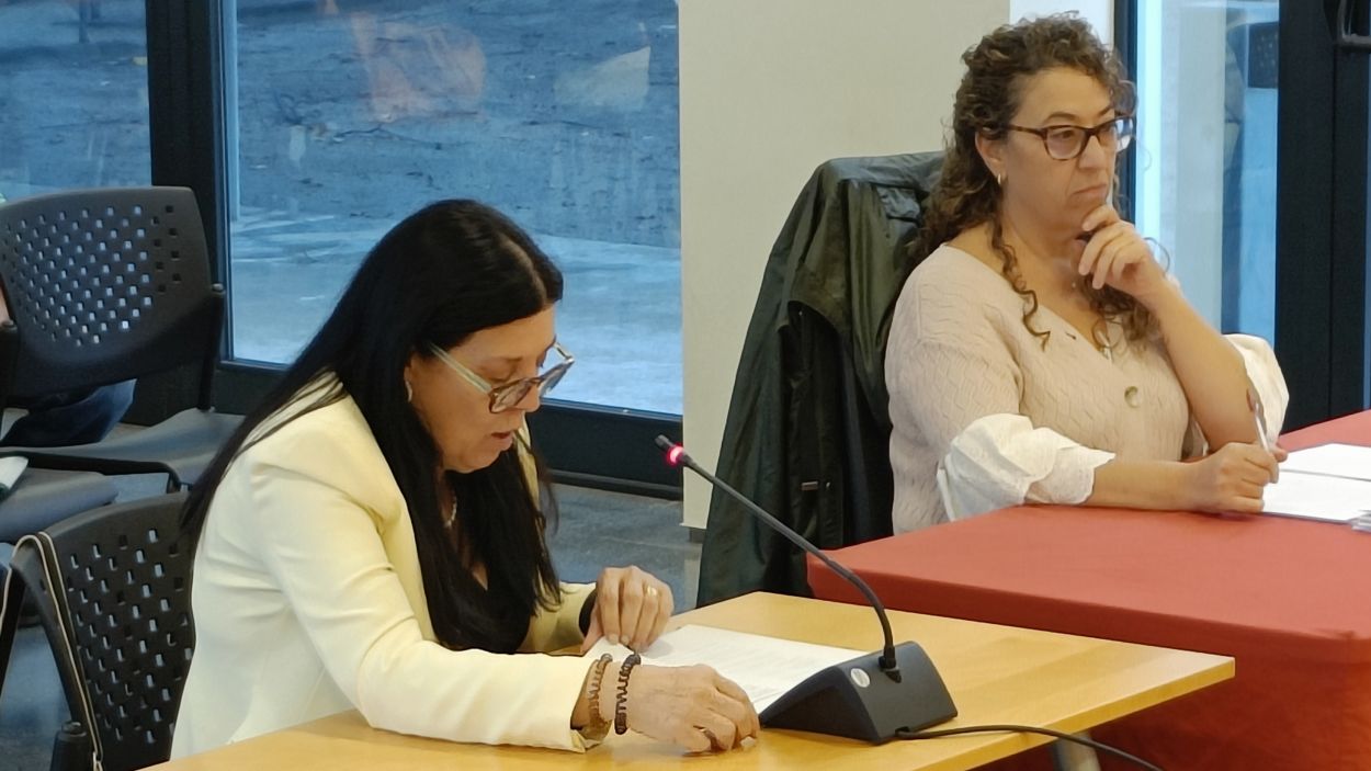 Les llicències d'obres i la urbanització de Baixador centren les queixes de la Síndica a Valldoreix