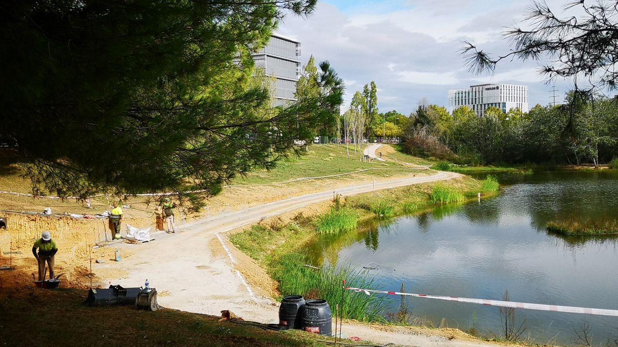 Comencen els treballs de millora paisatgística i ecològica de l'estany de la Guinardera
