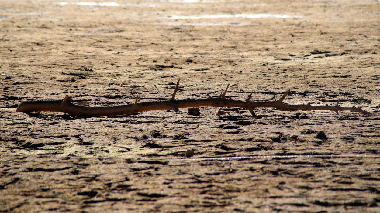 El Govern preveu declarar l'estat de 