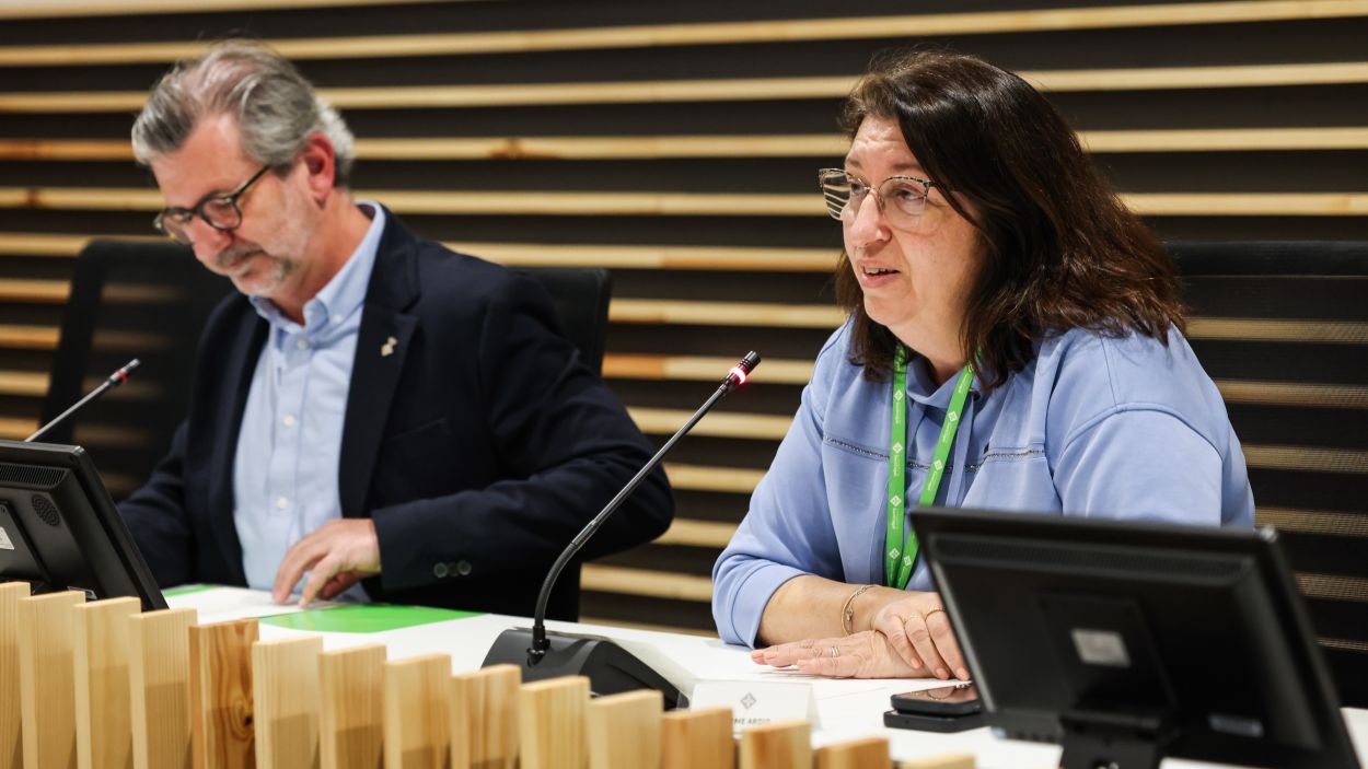 La CUP qüestiona la continuïtat d'Ardid per demanar la retirada d'un mural escolar en suport a Palestina