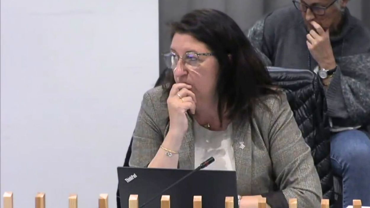 Els comuns volen que una comissió especial investigui possibles extralimitacions de la regidora d'Educació