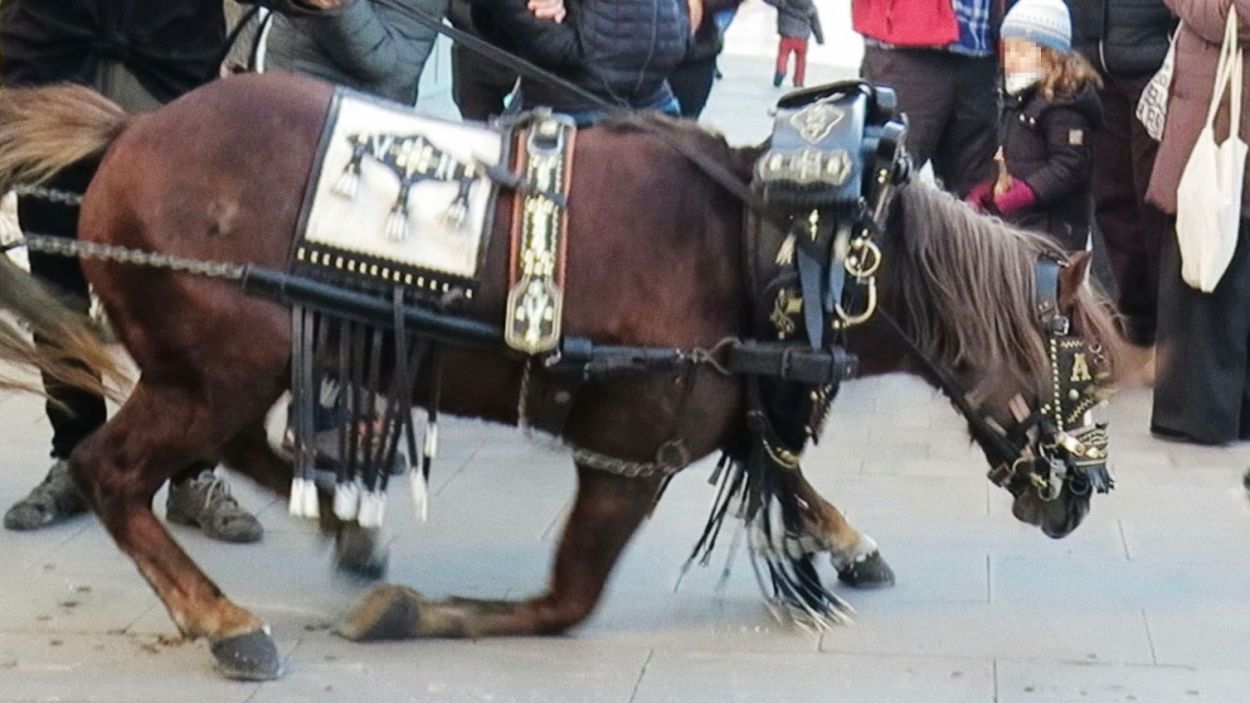 El recorregut dels Tres Tombs, més adaptat per 