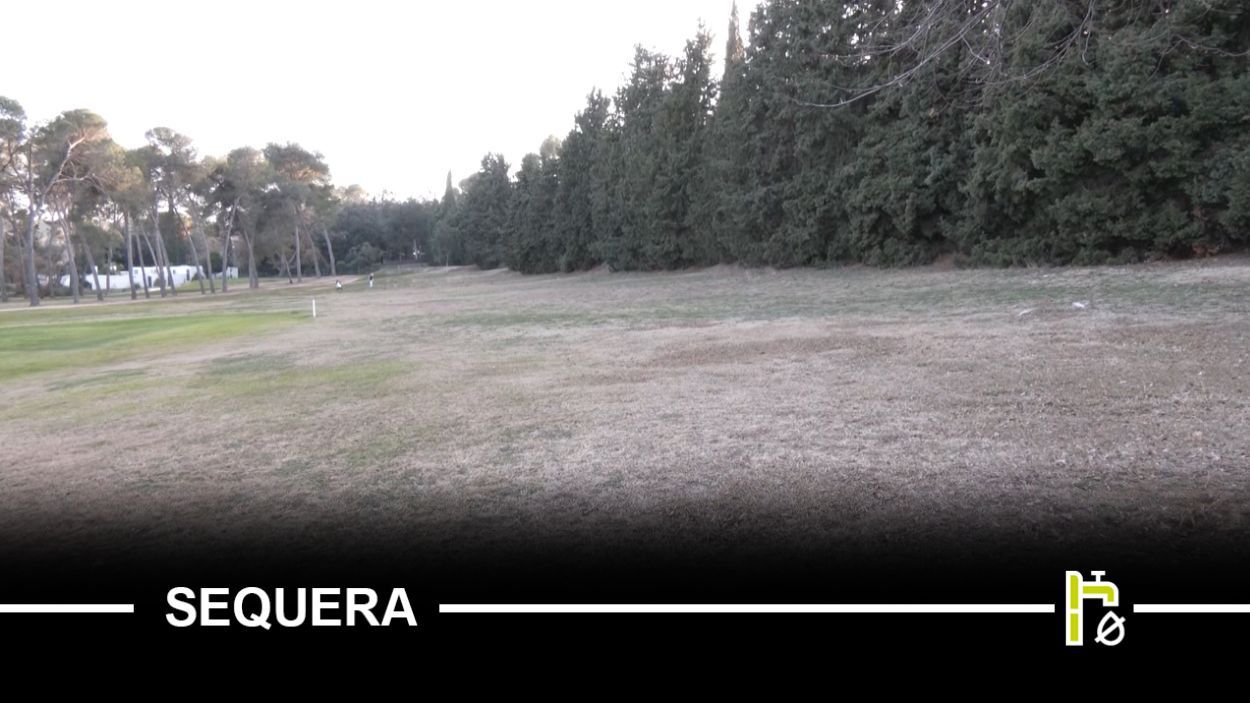 Les configuracions dels camps i aigües regenerades a l'horitzó: així fa front el Golf Sant Cugat a la sequera