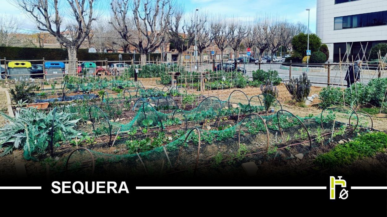 Els horts urbans resisteixen la sequera, però es preparen per a un estiu en blanc