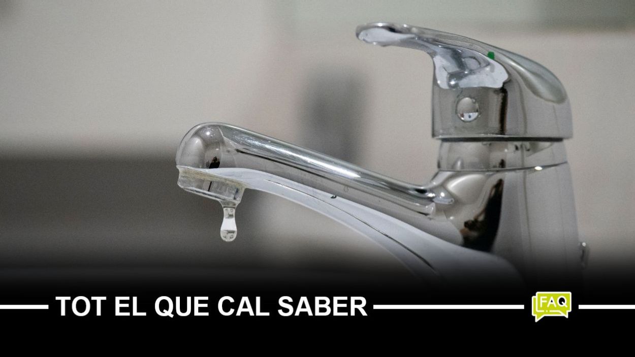 Puc regar les plantes de casa? 12 preguntes amb resposta sobre la sequera