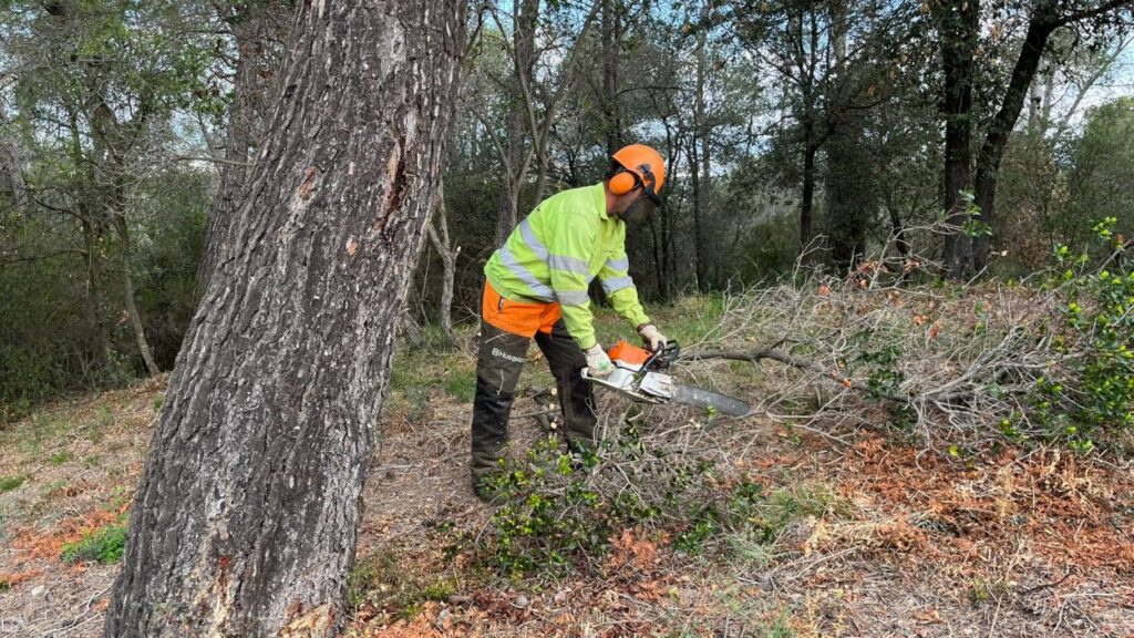 Alt: Sant Cugat ja treballa en la protecció i neteja dels boscos de Collserola de cara a l'estiu