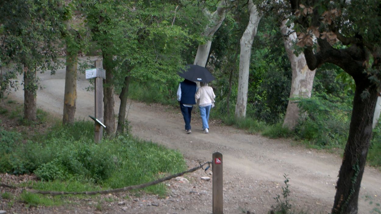 Collserola demana més civisme als visitants del Parc Natural