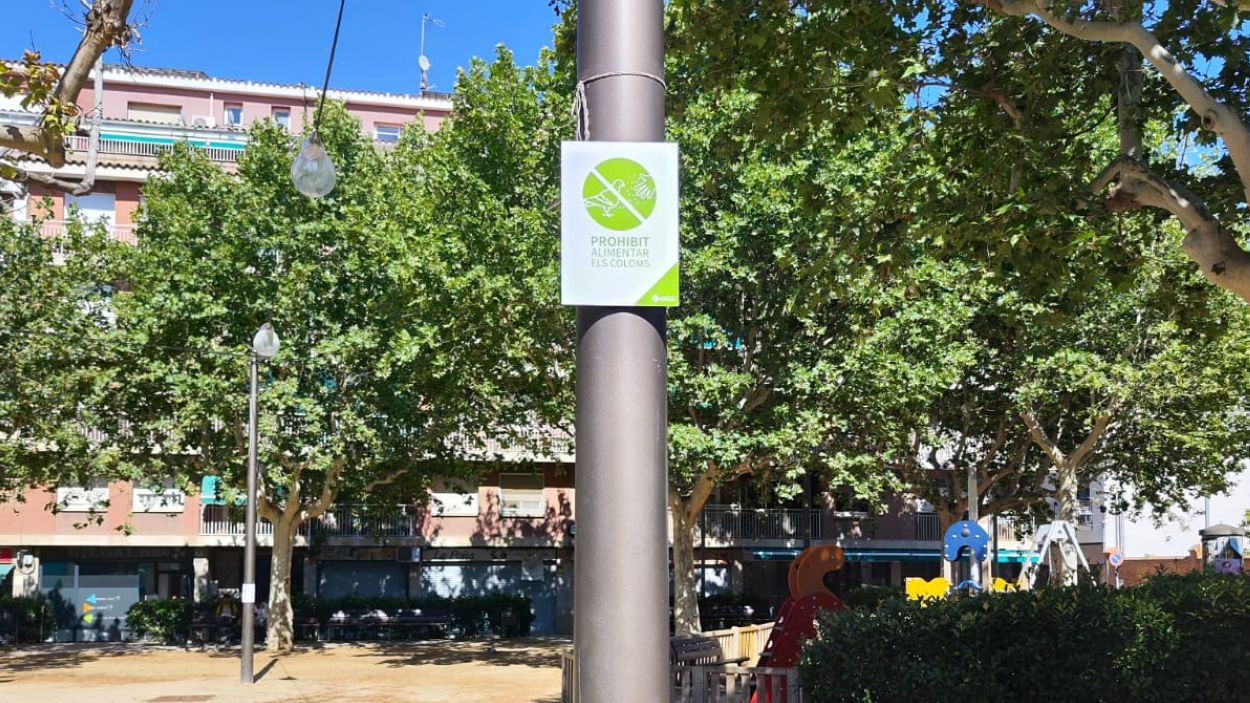 L'Ajuntament instal·la cartelleria sobre la prohibició d'alimentar els coloms