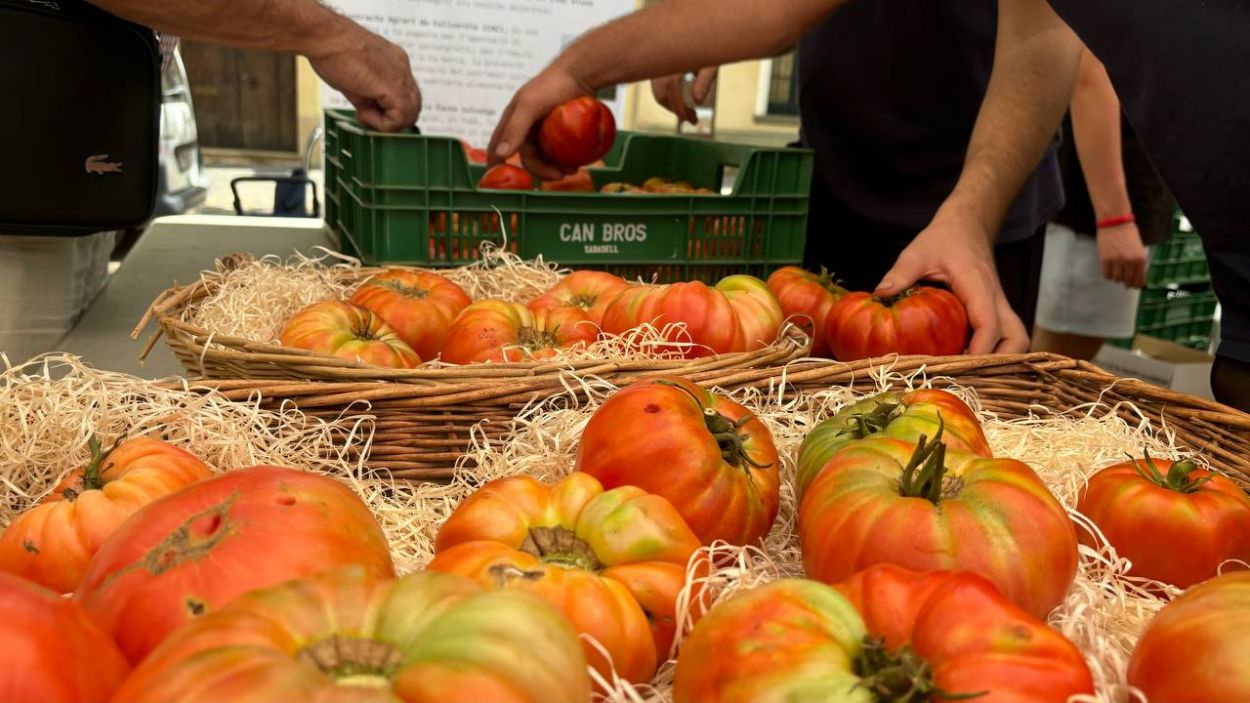 Tot a punt per una nova edició de la Fira Tasta Mandó