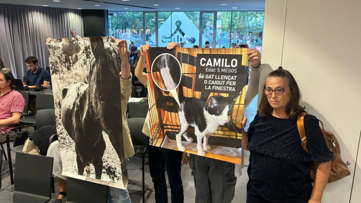 L'Ajuntament respon la PAS: 