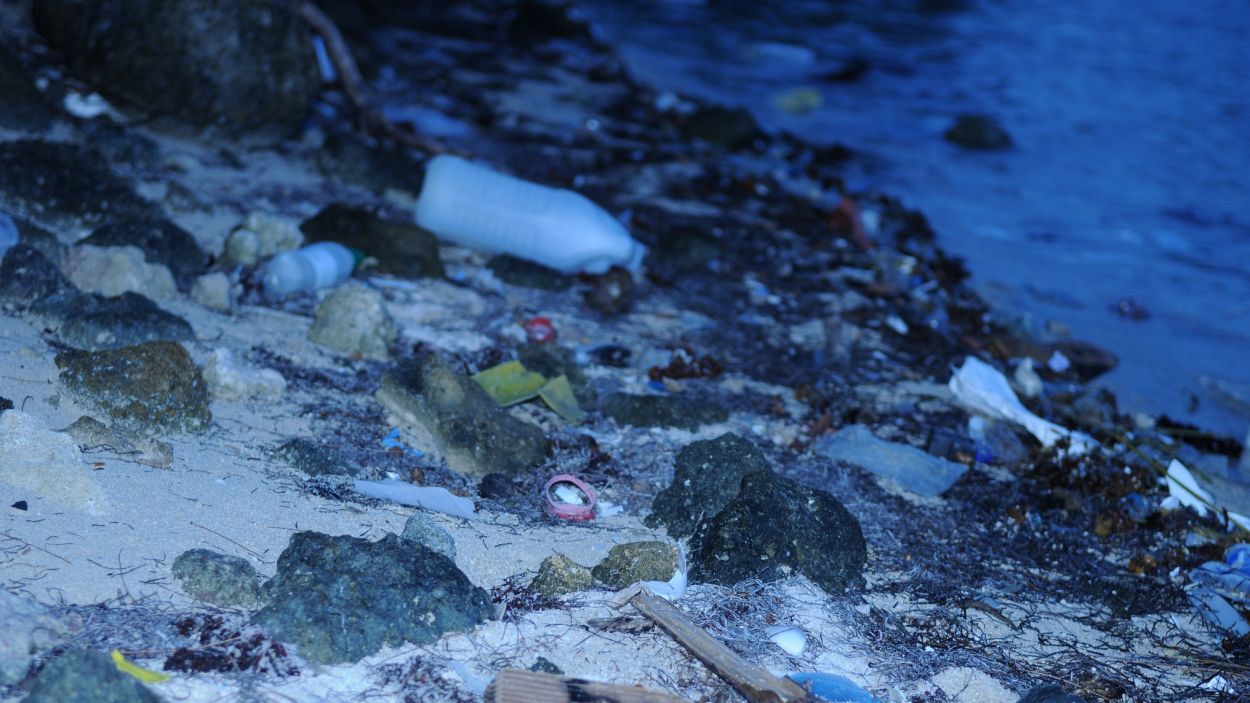 Els abocadors submarins estan posant en perill a més de 700 espècies marines