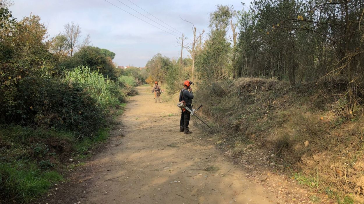 Talls puntuals fins dimecres al camí a Can Borrell per actuacions forestals