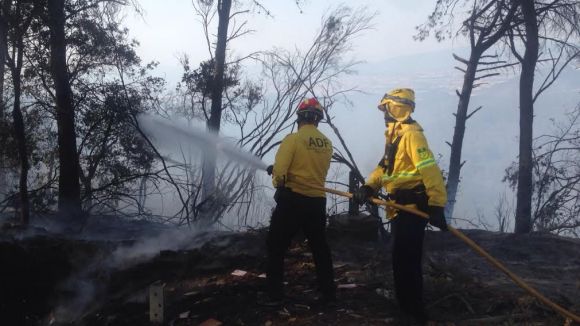 Comença la prohibició de fer foc a menys de 500 metres del bosc