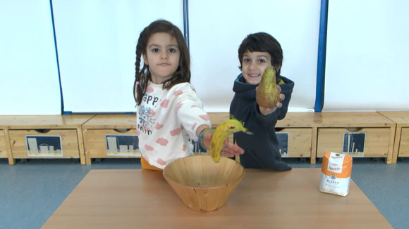 Projecte Turó de Can Mates P5 Grup 1