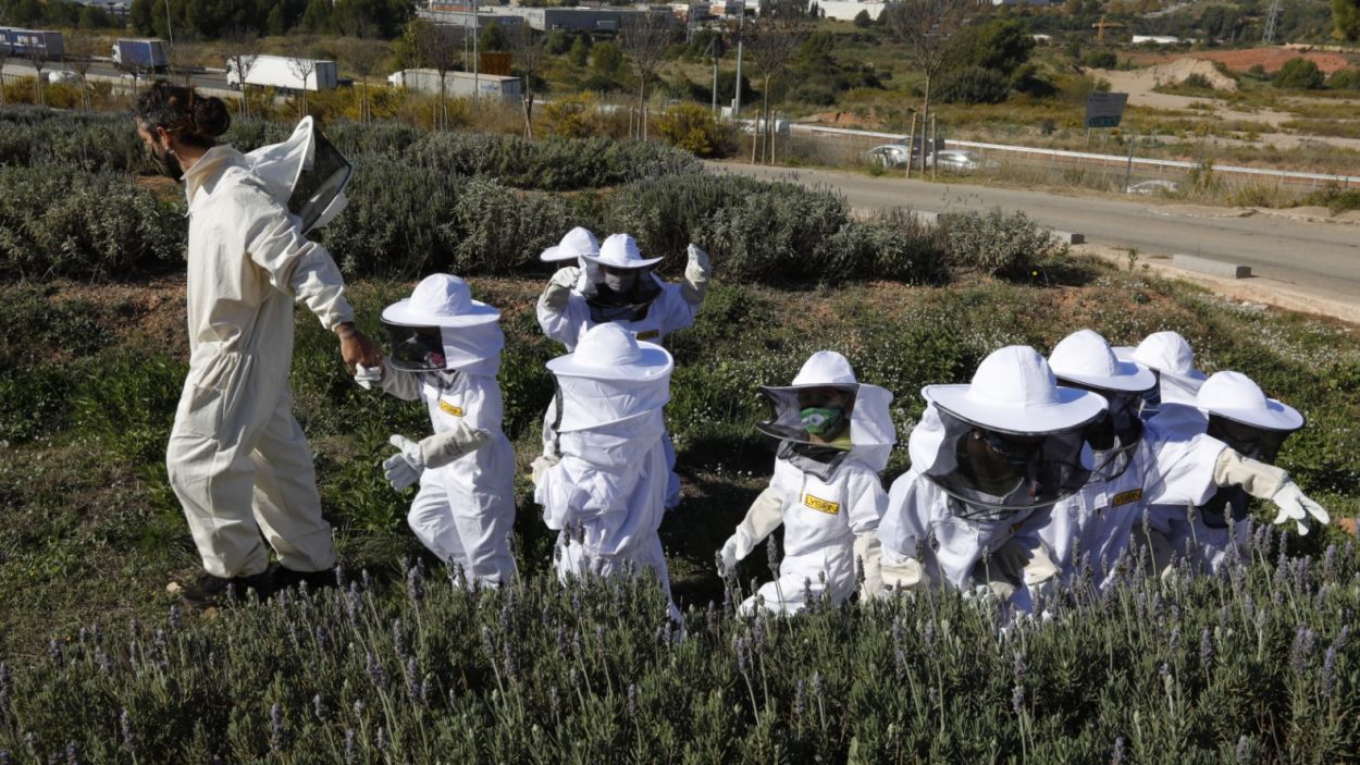 El projecte santcugatenc Melvida rep el premi EMAS pel seu compromís amb el medi ambient