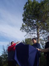 Sant Cugat recupera el símbol històric del Pi de Can Camps