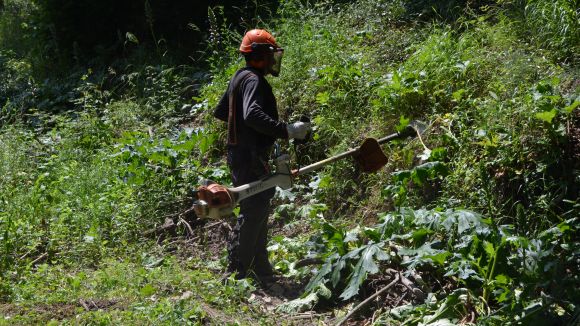 El ple rebutja la moció de Cs per millorar el manteniment d'escocells per prevenir incendis