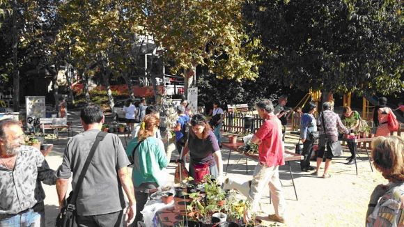 Torna la Fira d'intercanvi de plantes d'El Mussol amb novetats