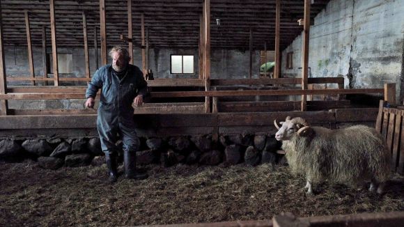 'Hrútar', la proposta d'avui al cicle de cinema d'autor