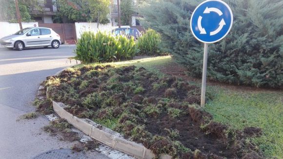 Queixes veïnals per destrosses causades pels senglars al centre de la ciutat