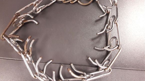 L'espai 'Gat i gos' denuncia l'existència de collars de càstig