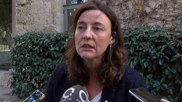 Conesa, a favor que els Ajuntaments gestionin part de l'IRPF per millorar l'atenció a la ciutadania