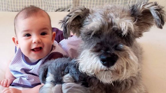 L'espai 'Gat i Gos' parla de l'acollida de gossos vells o malalts al magazín