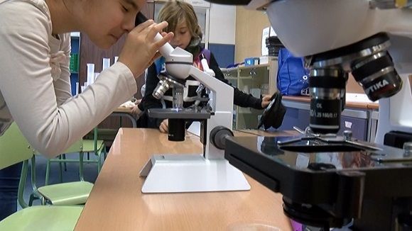 La Setmana de la Ciència de l'Olivera reuneix famílies, alumnes i mestres per experimentar i aprendre
