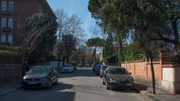 L'Ajuntament reformularà la retirada d'arbres a Eixample Sud després de les queixes veïnals