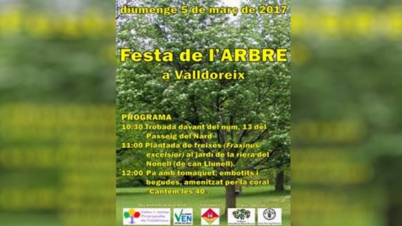 Valldoreix celebra el Dia de l'Arbre aquest diumenge amb una plantada de freixes