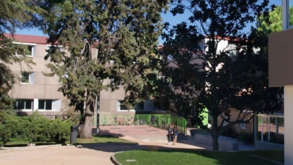 Salut investiga l'origen d'un quadre de vòmits que afecta 130 persones de l'escola Avenç