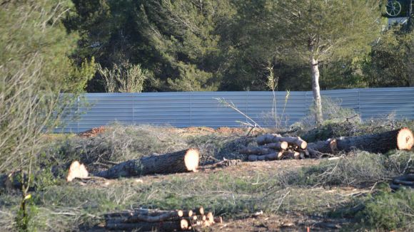 Els partits de l'oposició portaran a debat al ple la protecció del bosc de Volpelleres