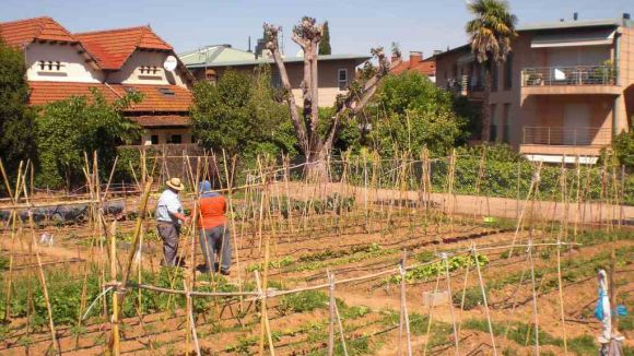 L'Ajuntament, pendent d'una subvenció de la Diputació per fer realitat dos nous horts urbans