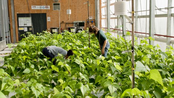 'El Pou' parla de Fertilecity, projecte que aprofita les cobertes dels edificis per fer-hi horts urbans