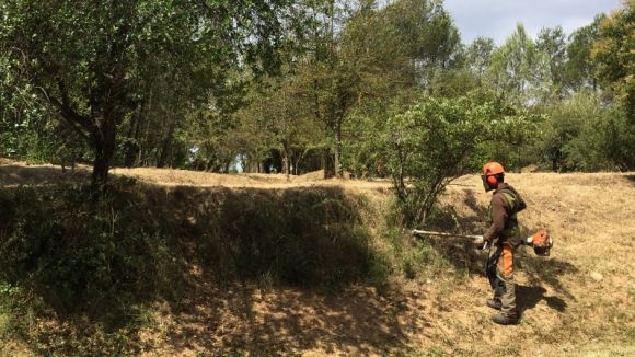 Comencen les tasques de naturalització dels voltants de Collserola, fruit dels pressupostos participatius