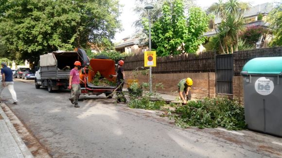 L'Ajuntament tala, finalment, els arbres del carrer de Sant Eduard per millorar la mobilitat a les voreres