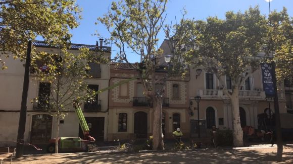 L'Ajuntament ha podat branques en mal estat dels arbres de la plaça de Barcelona