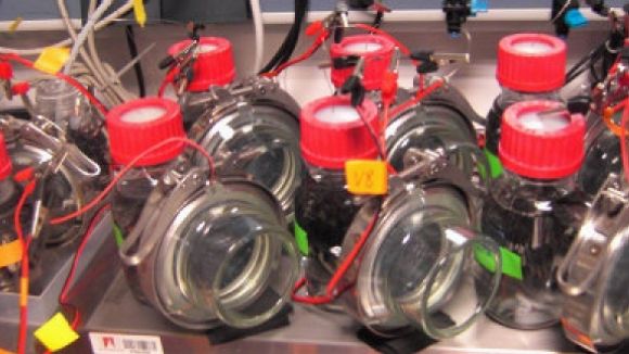 Un projecte que es dedica a descontaminar, eliminar olors i reaprofitar gasos