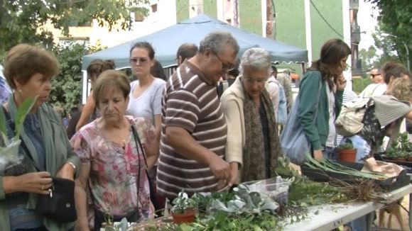 La 8a Fira d'intercanvi de plantes torna a apostar per les pràctiques sostenibles amb el medi ambient