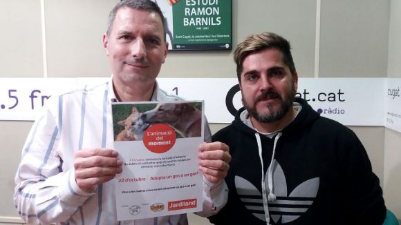 Els detalls de la 5a edició de la jornada d'adopcions a Jardiland, a l'espai 'Gat i gos'