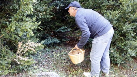 El SLC apropa el vocabulari del diccionari boletaire a l'espai 'L'Anell al dit'