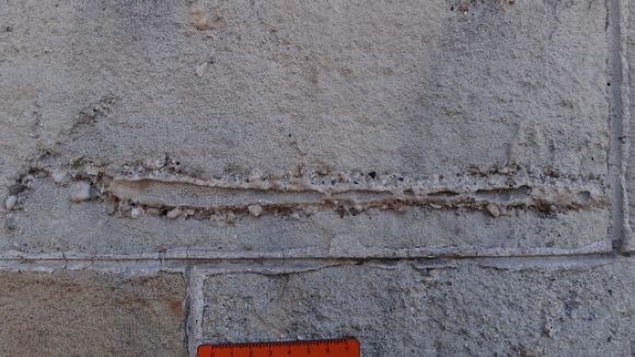 'El Pou' descobreix els fòssils urbans de Barcelona